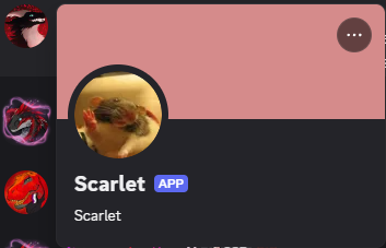 Discord 29NpGhvPyA.png