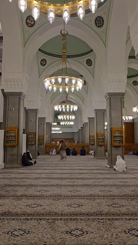 ssaeOdVduasb16 n.jpg