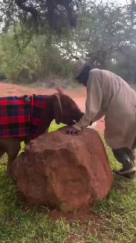 whEW f4Ck vuM9Dj.jpg