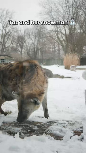 z0zbnVpPv aUK6ZV.jpg