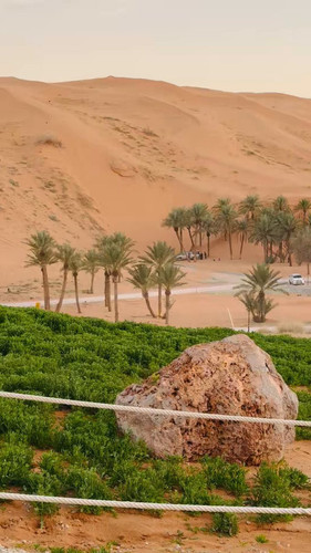 tyZL TYRacNciyEU.jpg