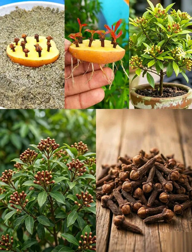 G MYDBuXwAAsCoz?format=jpg.jpg