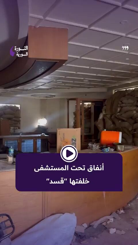 Yv1 dbJ4qzsqyG P.jpg