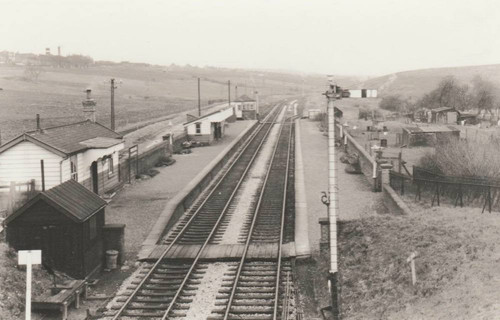 611788170 1393642548883856 2407576436766740156 n.jpg