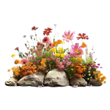 image removebg preview (18).png