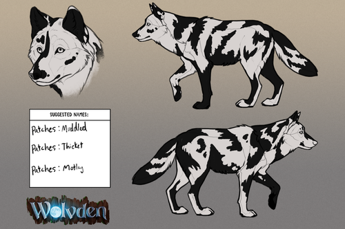 Concept Patches 1.png