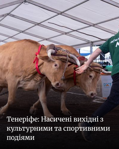 5d6836de4f62.png