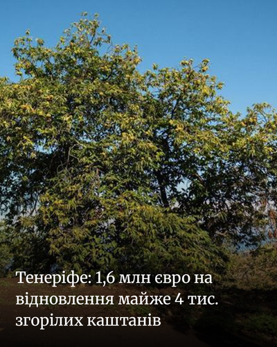 261646b9d520.png