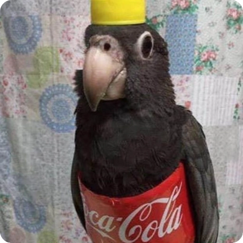 477588719724210.png