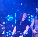 1.gif