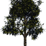 5mhxetOANb2Iieq1768116669 1768116676.png