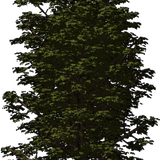 6RJqf7WADDjRIJK1768116617 1768116629.png