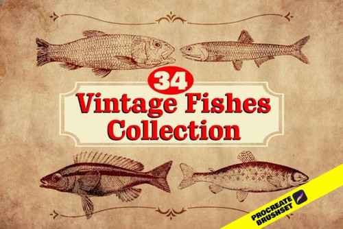 34 Retro Fish Stamp Brush for Procreate Graphics 27335982 1 1 580x387.jpg