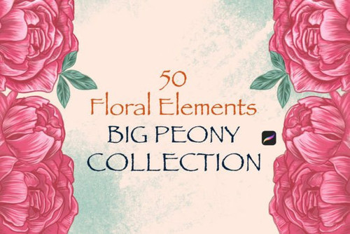 Floral Elements Big Peony Collection Graphics 90241304 1 580x387.jpg