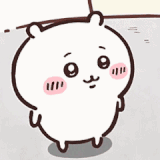 C981A5F6083A7CAEE9235DAC614D026F.gif