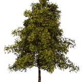 IMG 0991.png
