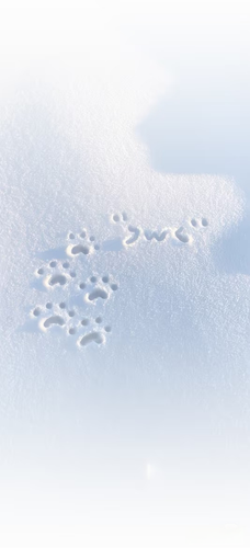 背景图 1767959369676.png