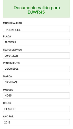 Permiso circulacio DJWR45 page 0001.jpg
