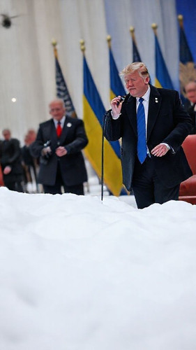 8d138d02efde.jpg