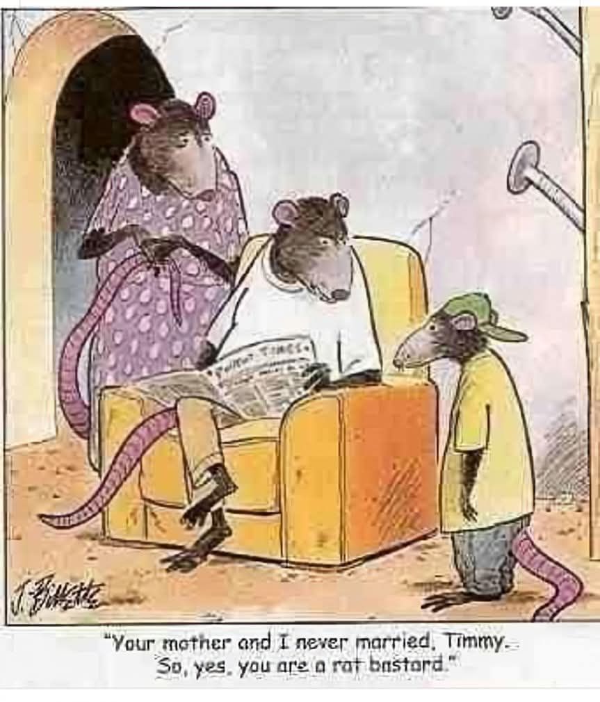 [Image: fl16YUx.jpg]