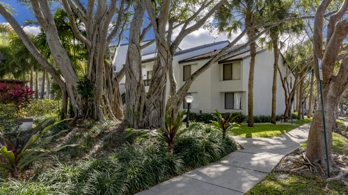 Banyan Bay 3 16 23 044.jpg