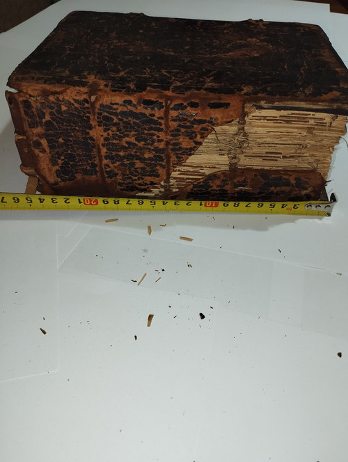 IMG 20251217 222105.jpg