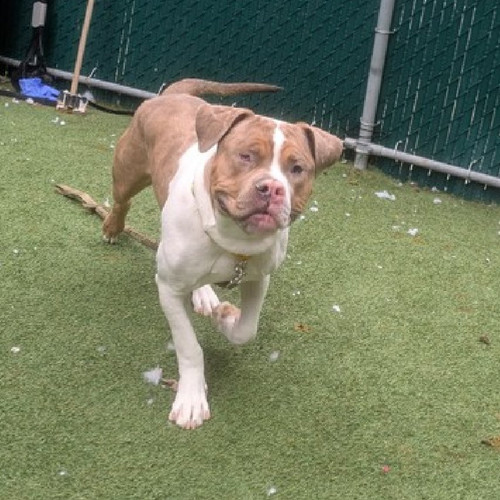 Gg Y5RXaAAAuSB ?format=jpg.jpg