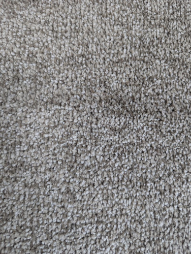 carpet3.jpg