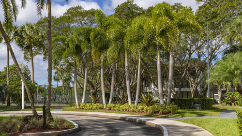 Banyan Bay 3 16 23 008.jpg