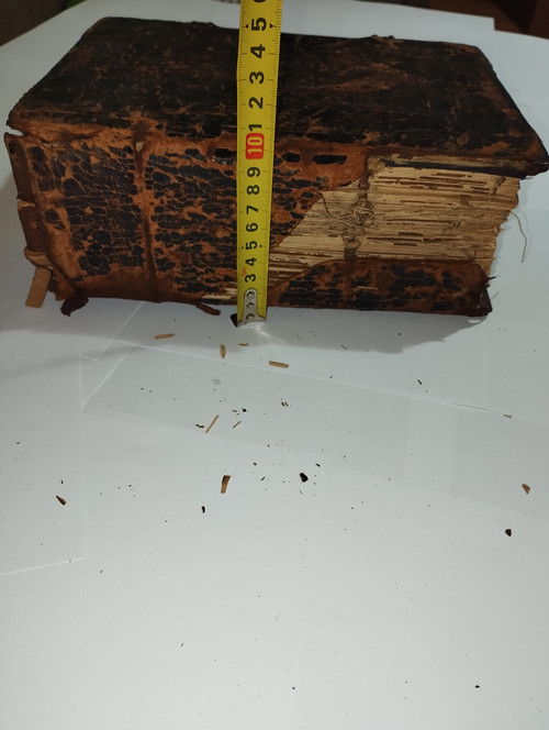 IMG 20251217 222125.jpg