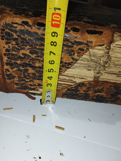 IMG 20251217 222132.jpg