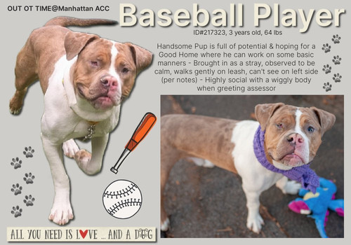 Ggu0i daYAAqnFc?format=jpg.jpg