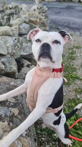 VpT 1wfZstS0VhwS.jpg