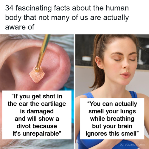 1 (39).png