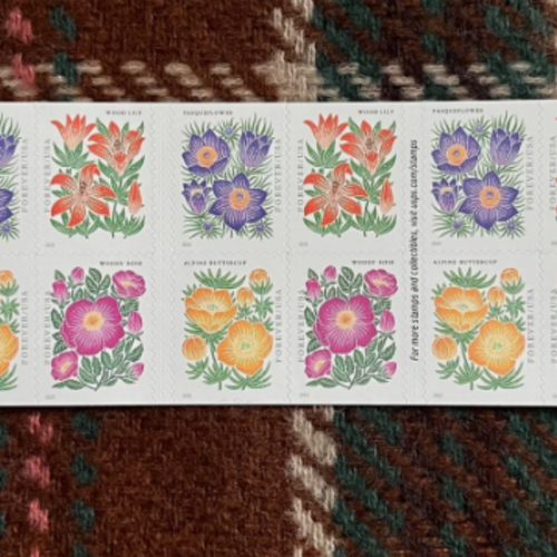 84135773 bd4e 4f66 8de9 0b729deba76c.png