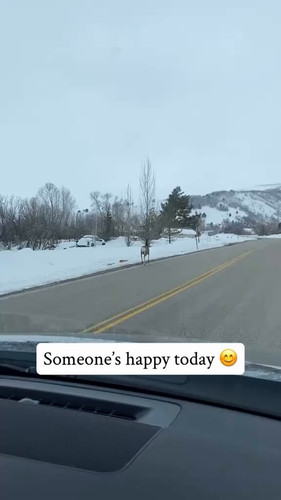 cROnWVueUyMVvQmF.jpg