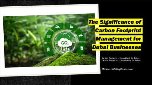 Carbon footprint.jpg