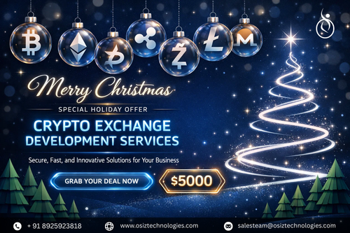 Launch Your Crypto Exchange This Christmas.png