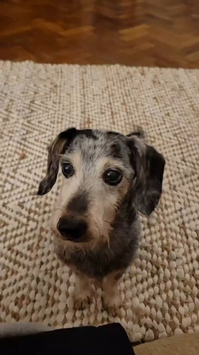 c2osn6Xxv7 PHtdW.jpg