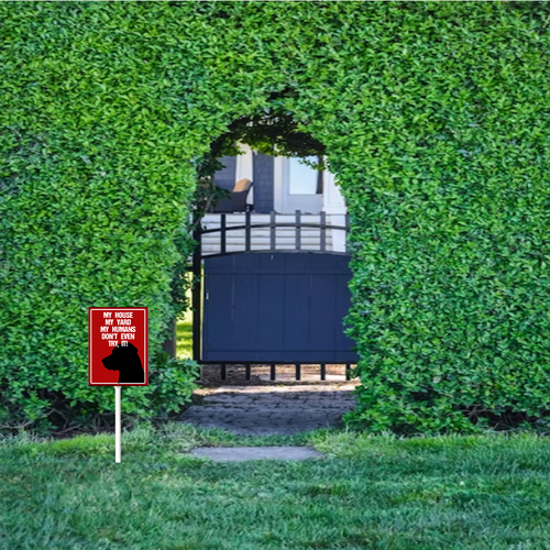 设计模版17.5x22 副本+10.png