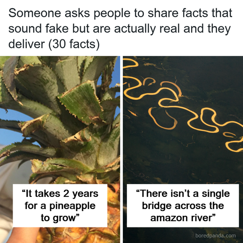 fact sounds fake is real.png