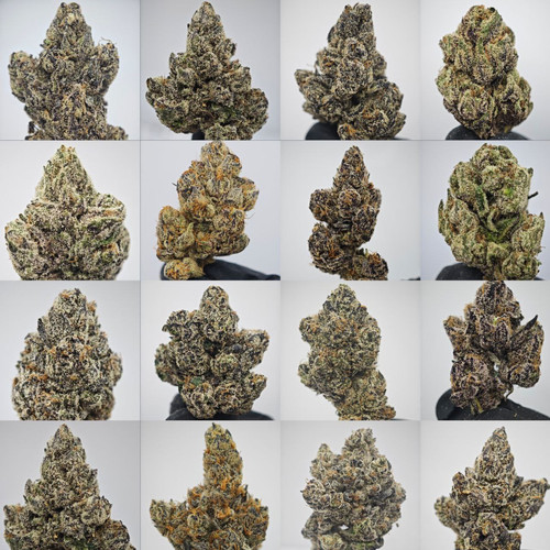 4 Strain Exotic Pack