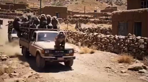 TxM9et2DvmkTJBoU.jpg