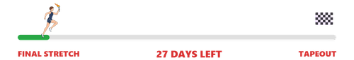 tapeout progress 27 days left (2).png