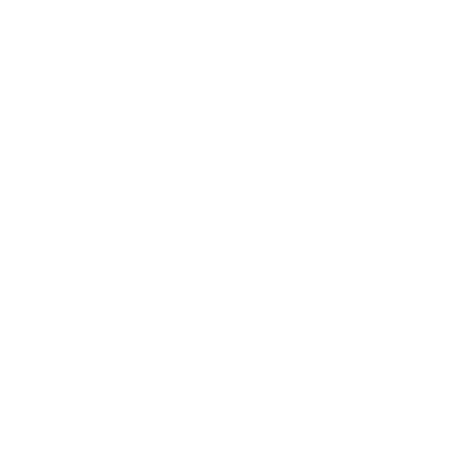 xin logo.png