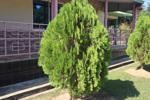 8f48c11e31eb.jpg
