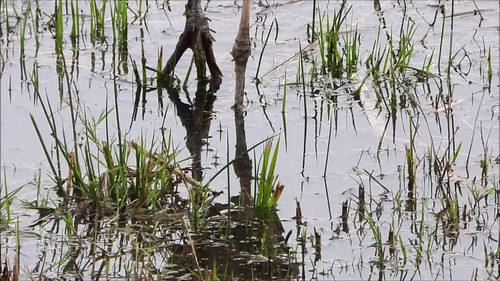 Ckq2bZtxsIoi 3a7.jpg