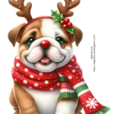 aigenbycaz reindeeranimal (1)