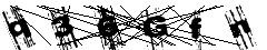 test.jpg