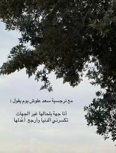 JShmsEg3OtCDHtiv.jpg